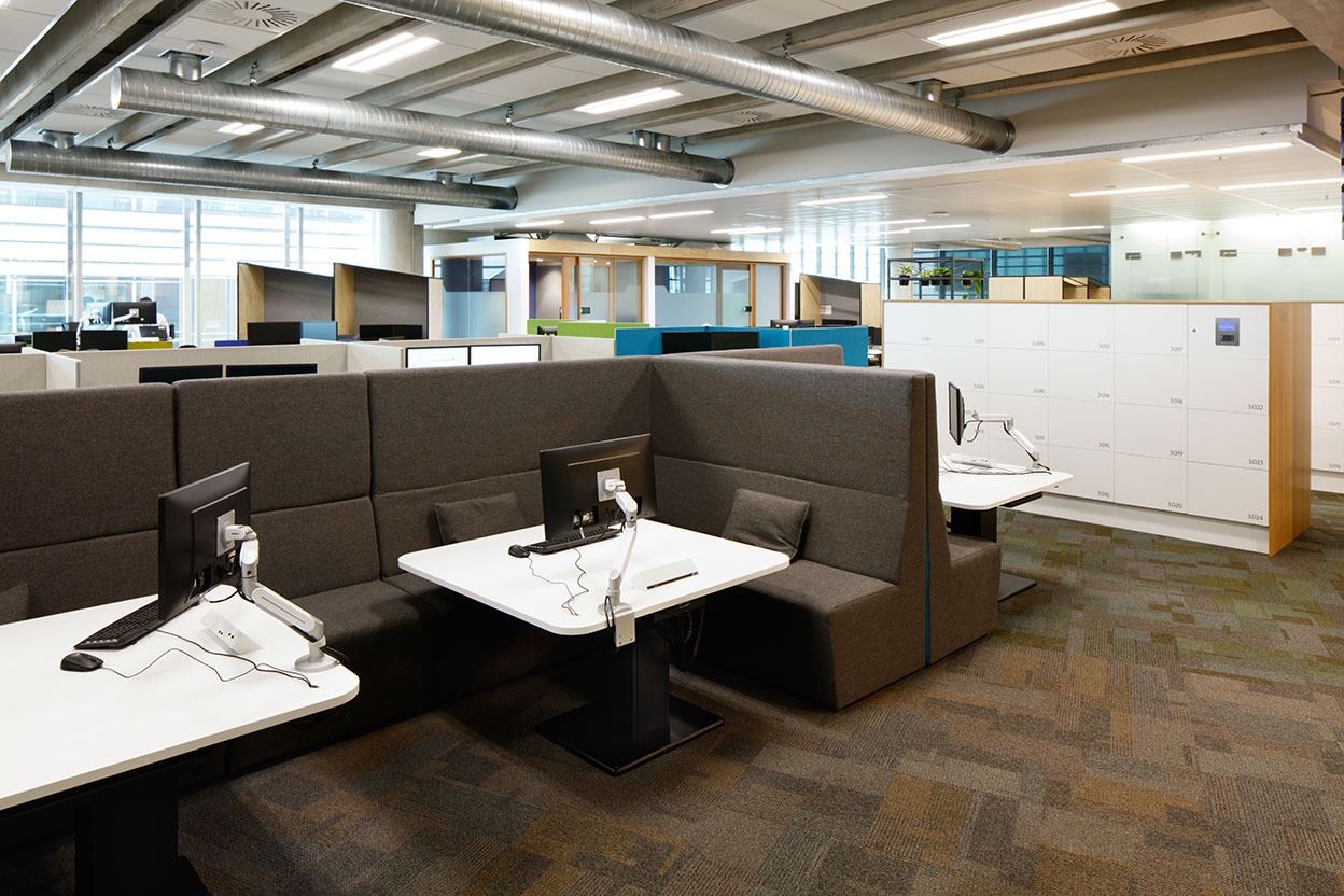 New Zealand Project - Ergonomic Design